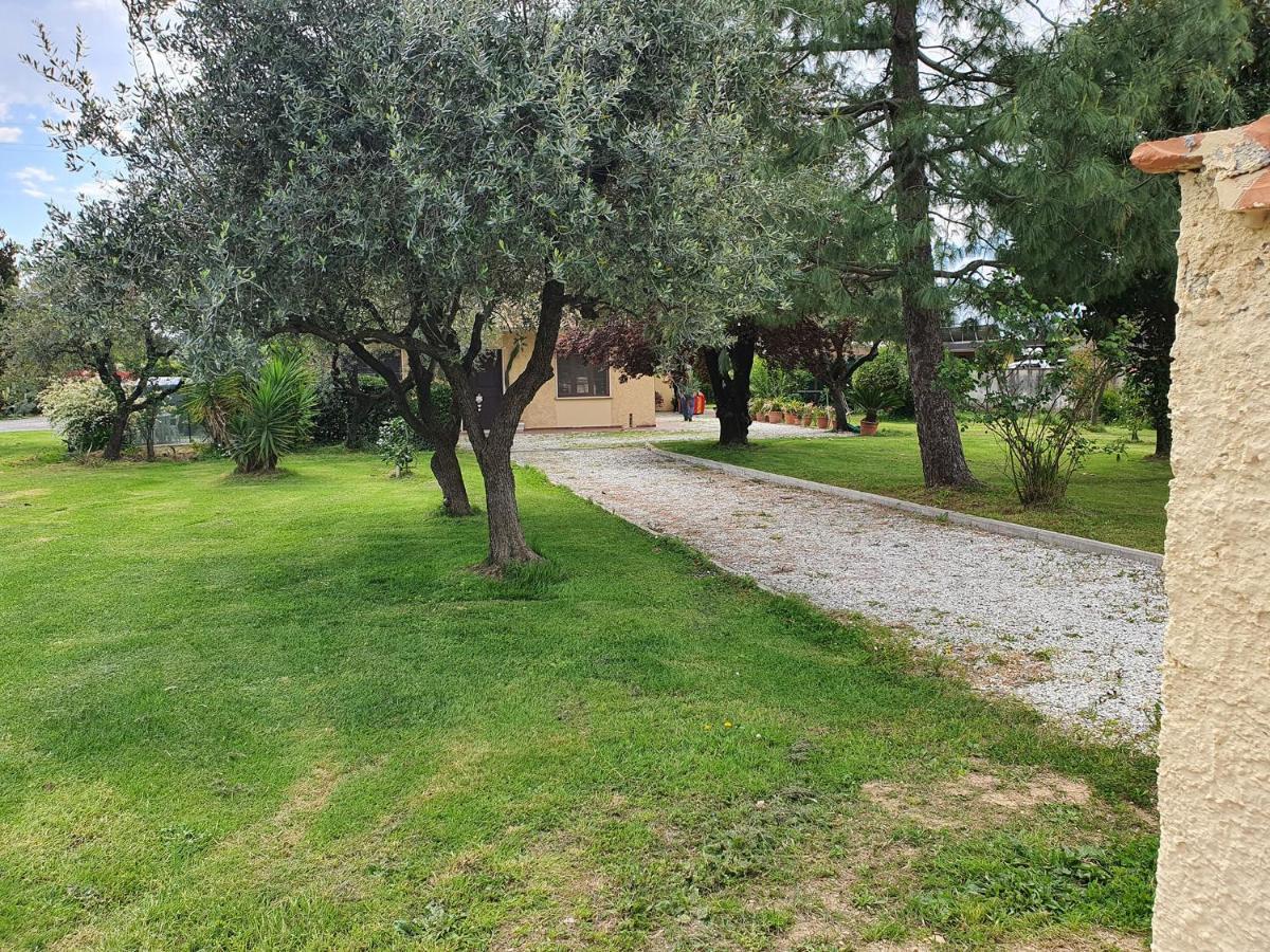 La Casetta Di Silvio Capezzano Pianore Exterior foto